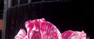 led屏為什么會流行起來？都有什么特點？