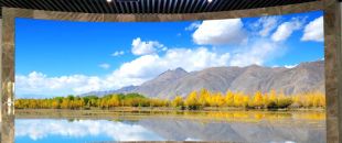 小間距led顯示屏未來的發展前景怎么樣？