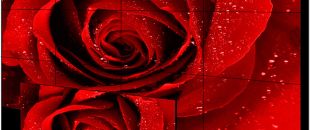  小間距LED屏的像素這么密，是怎么做到不出現顏色偏差的呀？